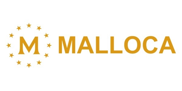 Mã lỗi bếp từ MALLOCA chi tiết